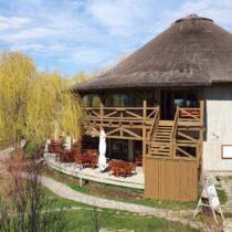 restaurant Green Village resort