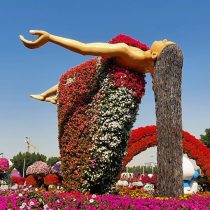 Dubai Miracle Garden 2