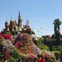 Dubai Miracle Garden 1