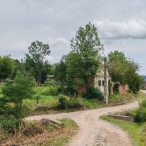 WhatsApp Image 2025-09-15 at 08.55.13_be8d86a8.jpg16