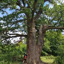 WhatsApp Image 2025-09-15 at 08.57.09_4671a778.jpg29