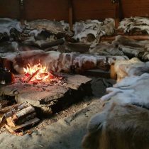 Ferma de reni Laponia