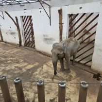 WhatsApp Image 2026-01-04 at 13.13.35