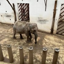 WhatsApp Image 2026-01-04 at 16.42.09