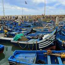essaouira portul pescaresc